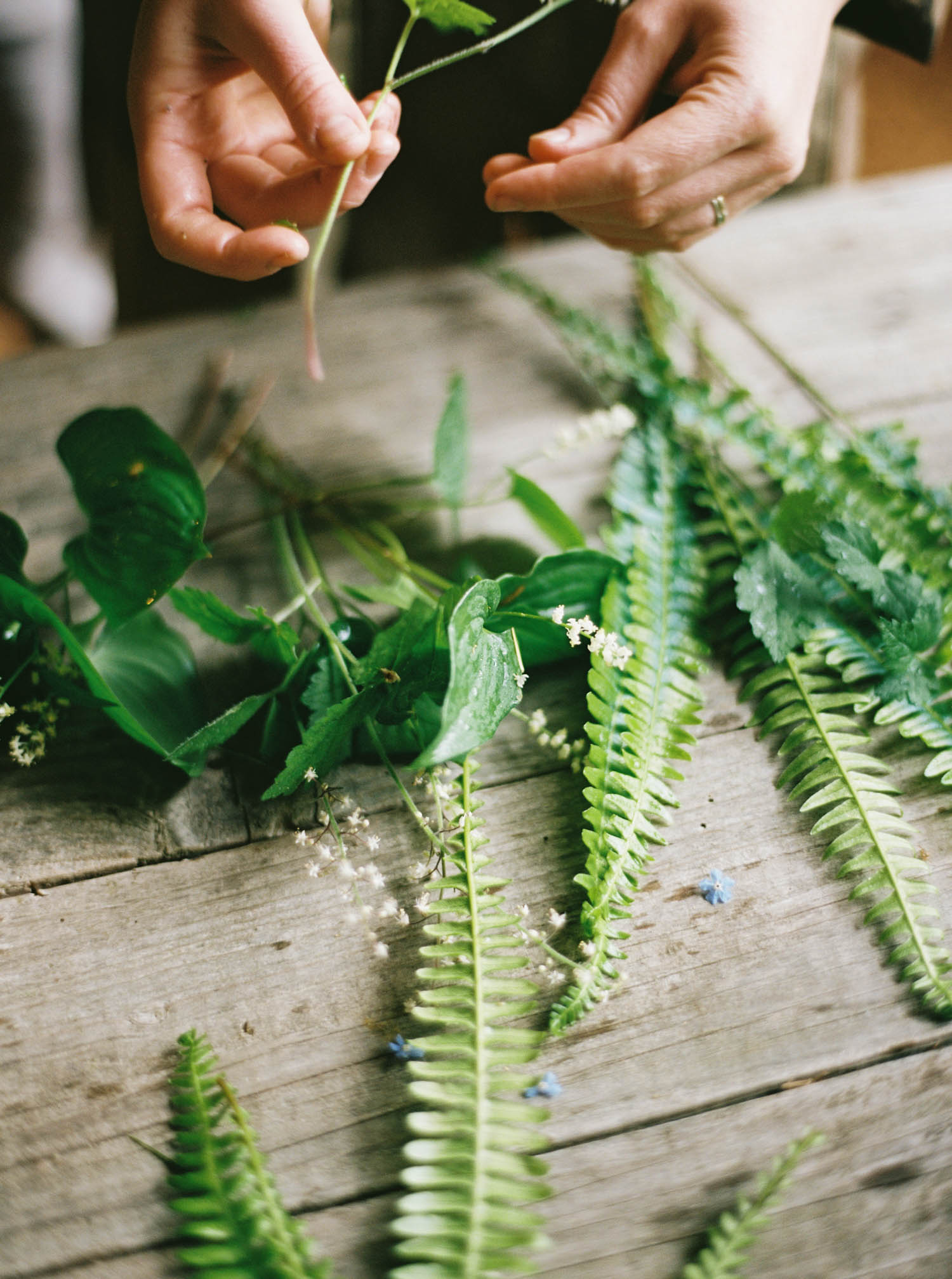 The Forage and Create Workshop captured by Seattle Wedding Photographer Anna Peters